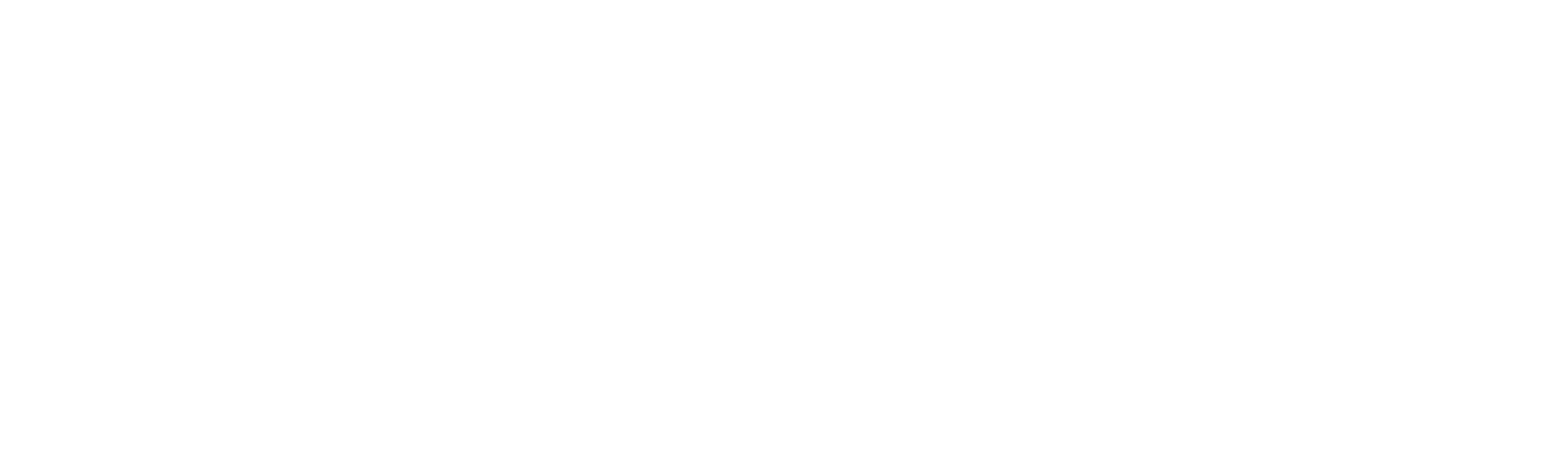 Gofly Logo